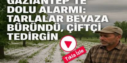 Gaziantep'i Dolu Vurdu! Çiftçi Tedirgin