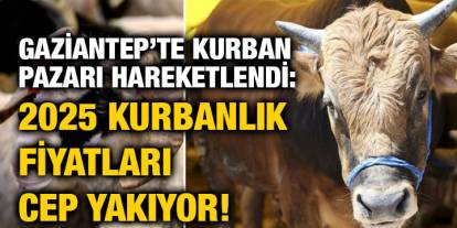 Gaziantep’te Kurban Pazarı Hareketlendi: 2025 Kurbanlık Fiyatları Cep Yakıyor!