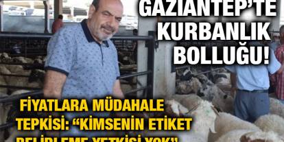 Gaziantep’te Kurbanlık Bolluğu! Fiyatlara Müdahale Tepkisi: “Kimsenin Etiket Belirleme Yetkisi Yok”