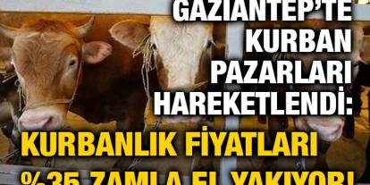 İGaziantep’te Kurban Pazarları Hareketlendi: Kurbanlık Fiyatları %35 Zamla El Yakıyor!