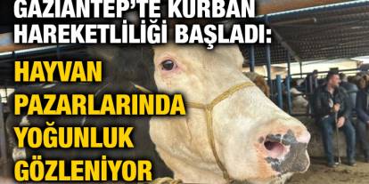 Gaziantep’te Üniversite Öğrencilerine Müjde: Kurban Bayramı Sonrası Başvuranlar 14 Gün Çalışıp 15 Bin TL Kazanacak!