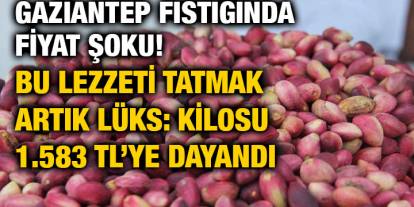 Gaziantep Fıstığında Fiyat Şoku! Bu Lezzeti Tatmak Artık Lüks: Kilosu 1.583 TL’ye Dayandı