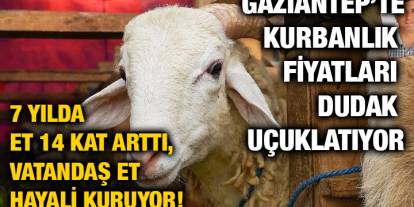 Gaziantep’te Kurbanlık Fiyatları El Yakıyor: 7 Yılda Et 14 Kat Arttı, Vatandaş Et Hayali Kuruyor!