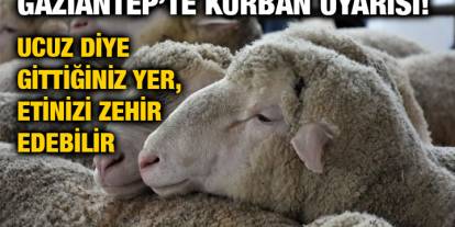 Gaziantep’te Kurban Uyarısı! Ucuz Diye Gittiğiniz Yer, Etinizi Zehir Edebilir