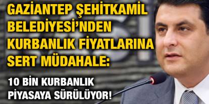 Gaziantep Şehitkamil Belediyesi’nden Kurbanlık Fiyatlarına Sert Müdahale: 10 Bin Kurbanlık Piyasaya Sürülüyor!