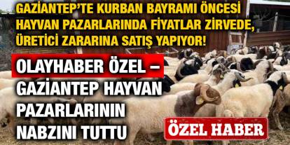 Gaziantep’te Kurban Bayramı Öncesi Hayvan Pazarlarında Fiyatlar Zirvede, Üretici Zararına Satış Yapıyor!