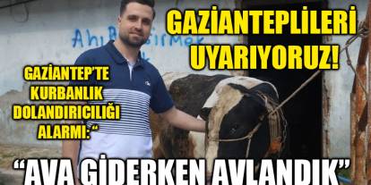 Gaziantep’te Kurbanlık Dolandırıcılığı Alarmı: “Ava Giderken Avlandık” – Gazianteplileri Uyarıyoruz!