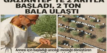 Gaziantep'li Arıcının Türkiye'ye Yayılan Hikayesi! 2 Arıyla Başladı, 2 Ton Bala Ulaştı
