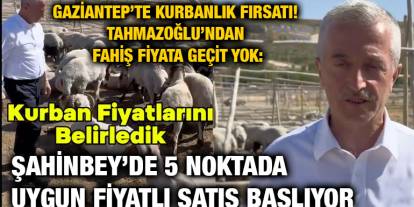 Gaziantep’te Kurbanlık Fırsatı! Tahmazoğlu’ndan Fahiş Fiyata Geçit Yok: Şahinbey’de 5 Noktada Uygun Fiyatlı Satış Başlıyor