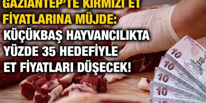 Gaziantep’te Kırmızı Et Fiyatlarına Müjde: Küçükbaş Hayvancılıkta Yüzde 35 Hedefiyle Et Fiyatları Düşecek!