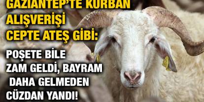 Gaziantep’te Kurban Alışverişi Cepte Ateş Gibi: Poşete Bile Zam Geldi, Bayram Daha Gelmeden Cüzdan Yandı!