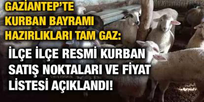 Gaziantep’te Kurban Bayramı Hazırlıkları Tam Gaz: İlçe İlçe Resmi Kurban Satış Noktaları ve Fiyat Listesi Açıklandı!