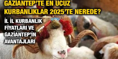 Gaziantep’te En Ucuz Kurbanlıklar 2025’te Nerede? İl İl Kurbanlık Fiyatları ve Gaziantep’in Avantajları