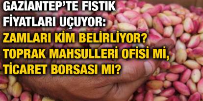 Gaziantep’te Fıstık Fiyatları Uçuyor: Zamları Kim Belirliyor? Toprak Mahsulleri Ofisi mi, Ticaret Borsası mı?