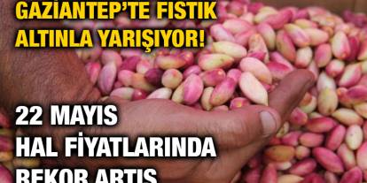 Gaziantep’te Fıstık Altınla Yarışıyor! 22 Mayıs Hal Fiyatlarında Rekor Artış
