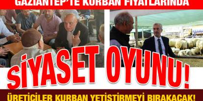 Gaziantep’te Kurban Fiyatlarında Siyaset Oyunu! Üreticiler Kurban Yetiştirmeyi Bırakacak!
