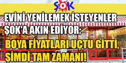 Evini Yenilemek İsteyenler ŞOK'a Akın Ediyor: Boya Fiyatları Uçtu Gitti, Şimdi Tam Zamanı!