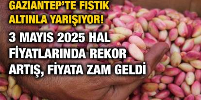 Gaziantep’te Fıstık Altınla Yarışıyor! 23 Mayıs 2025 Hal Fiyatlarında Rekor Artış, Fiyata 1 TL Zam Geldi