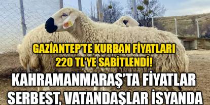 Gaziantep’te Kurban Fiyatları 220 TL’ye Sabitlendi! Kahramanmaraş’ta Fiyatlar Serbest, Vatandaşlar İsyanda