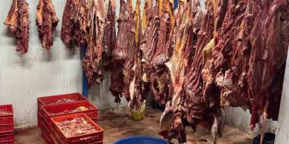 Gaziantep'in Komşu İli Adana'da At ve Eşek Eti  Dehşeti! Gaziantep'e Sıçradı Mı?