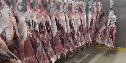 Gaziantep’te Et Fiyatları Yerinde Sayıyor! Kuzu Etinde Düşüş, Dana Etinde Bekleyiş Sürüyor