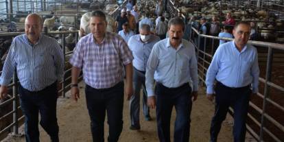 Gaziantep'te Kurban Satış Ve Kesim Yerleri Nereler? İşte Detaylı Kurban Satış ve Kesim Yerleri Listesi