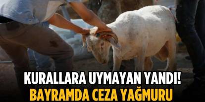 Gaziantep'te Bayramda Kurban Uyarısı! Meydanlarda Kesim Yapan Yandı: Ceza Yağacak
