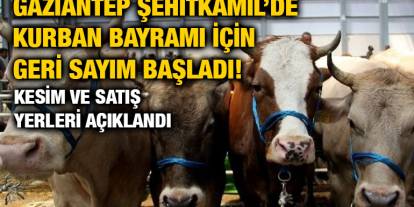 Gaziantep Şehitkamil’de Kurban Bayramı İçin Geri Sayım Başladı! Kesim ve Satış Yerleri Açıklandı