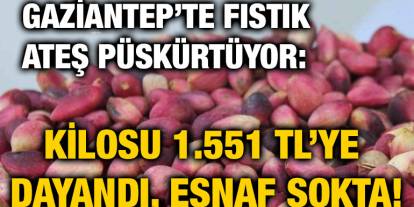 Gaziantep’te Fıstık Ateş Püskürtüyor: Kilosu 1.551 TL’ye Dayandı, Esnaf Şokta!
