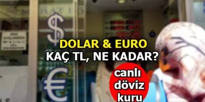 Gaziantep Döviz Piyasasında Durağan Seyir: Dolar ve Euro’da Değişim Yok (31 Mayıs 2025)