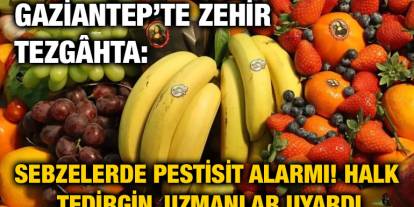 Gaziantep’te Zehir Tezgâhta: Sebzelerde Pestisit Alarmı! Halk Tedirgin, Uzmanlar Uyardı