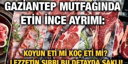 Gaziantep Mutfağında Etin İnce Ayrımı: Koyun Eti mi Koç Eti mi? Lezzetin Sırrı Bu Detayda Saklı!