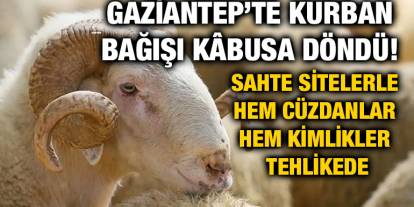 Gaziantep’te Kurban Bağışı Kâbusa Döndü! Sahte Sitelerle Hem Cüzdanlar Hem Kimlikler Tehlikede