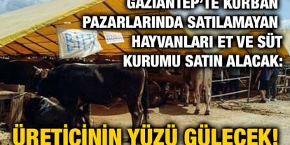 Gaziantep’te Kurban Pazarlarında Satılamayan Hayvanları Et ve Süt Kurumu Satın Alacak: Üreticinin Yüzü Gülecek!