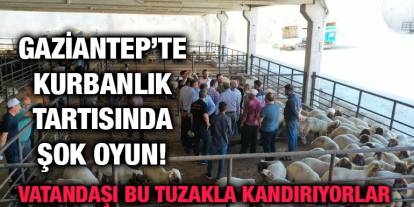 Gaziantep’te Kurbanlık Tartısında Şok Oyun! Vatandaşı Bu Tuzakla Kandırıyorlar