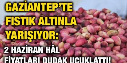 Gaziantep’te Fıstık Altınla Yarışıyor: 2 Haziran Hâl Fiyatları Dudak Uçuklattı!