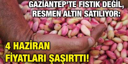 Gaziantep’te Fıstık Değil, Resmen Altın Satılıyor: 4 Haziran Fiyatları Şaşırttı!