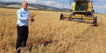 Gaziantep'te 2025 yılı nohut hasadı başladı