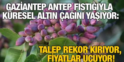 Gaziantep Antep Fıstığıyla Küresel Altın Çağını Yaşıyor: Talep Rekor Kırıyor, Fiyatlar Uçuyor!