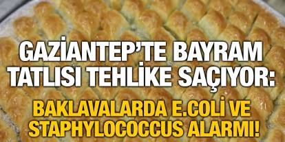 Gaziantep’te Bayram Tatlısı Tehlike Saçıyor: Baklavalarda E.coli ve Staphylococcus Alarmı!