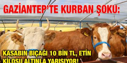 Gaziantep’te Kurban Şoku: Kasabın Bıçağı 10 Bin TL, Etin Kilosu Altınla Yarışıyor!
