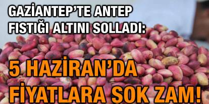 Gaziantep’te Fıstık Altınla Yarışıyor: 5 Haziran 2025 Hâl Fiyatlarına Zam Şoku!