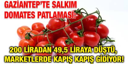 Gaziantep’te Salkım Domates Patlaması: 200 Liradan 49,5 Liraya Düştü, Marketlerde Kapış Kapış Gidiyor!