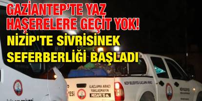 Gaziantep’te Yaz Haşerelere Geçit Yok! Nizip'te Sivrisinek Seferberliği Başladı