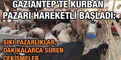 Gaziantep’te Kurban Pazarı Hareketli Başladı: Sıkı Pazarlıklar, Dakikalarca Süren Çekişmeler