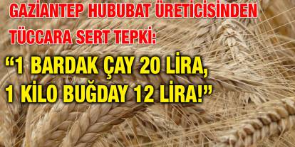 Gaziantep Hububat Üreticisinden Tüccara Sert Tepki: “1 Bardak Çay 20 Lira, 1 Kilo Buğday 12 Lira!”