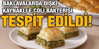 Baklavalarda Dışkı Kaynaklı E.coli Bakterisi Tespit Edildi!
