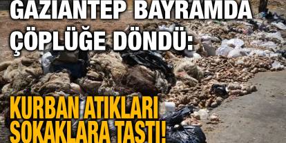 Gaziantep Bayramda Çöplüğe Döndü: Kurban Atıkları Sokaklara Taştı!