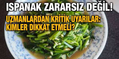 Ispanak Zararsız Değil! Uzmanlardan Kritik Uyarılar: Kimler Dikkat Etmeli?