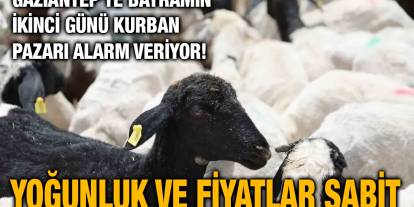 Gaziantep’te Bayramın İkinci Günü Kurban Pazarı Alarm Veriyor! Yoğunluk ve Fiyatlar Sabit